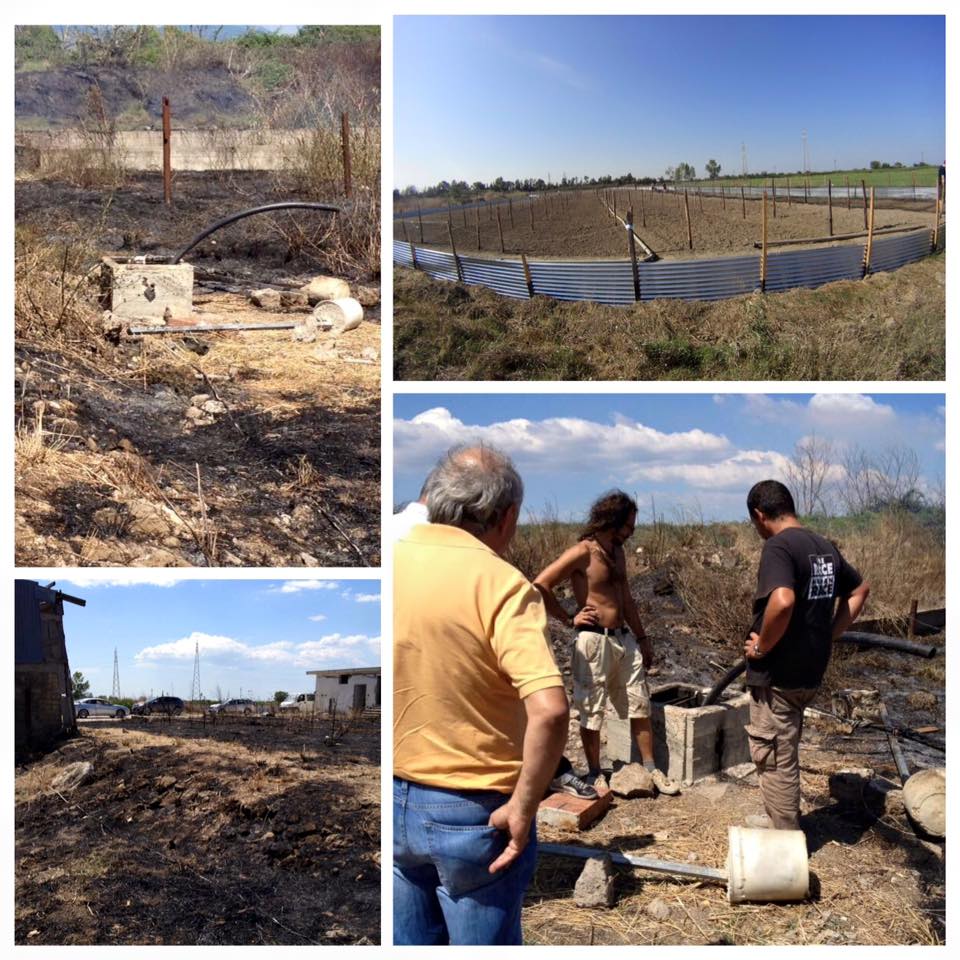 14089231_1058424484206512_3905045130861675653_n