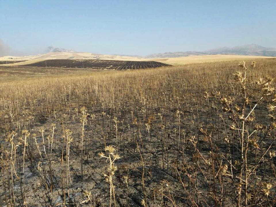 incendio doloso terreni cooperativa lavoro e non solo - inizio dei campi antimafia